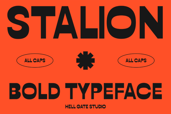 Stalion: A Journey into Retro Typography with Purpose